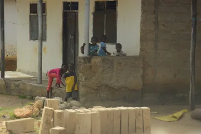 DSC_8725 (Large).JPG